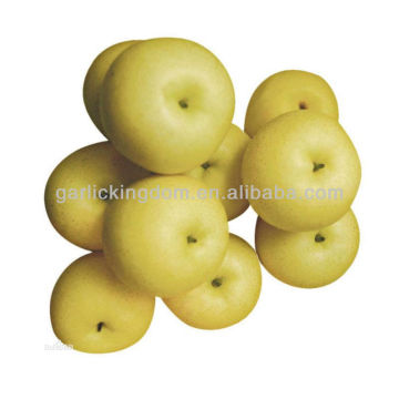 Golden pear rich in Vc,Vb,good taste and shape pear with best price pear